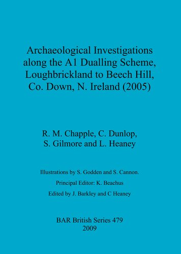 Archaeological Investigations Along The A1 Dualling Scheme Loughbrickland To Beech Hill Co Down N Ireland 2005 R M Chapple