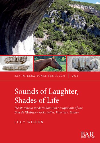 Sounds Of Laughter Shades Of Life Pleistocene To Modern Hominin Occupations Of The Bau De Laubesier Rock Shelter Vaucluse France Lucy Wilson
