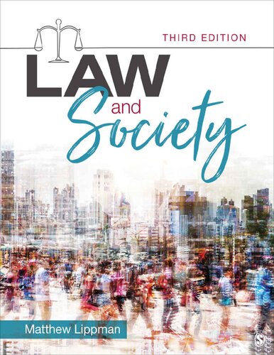 Law And Society 3rd Edition Matthew Lippman