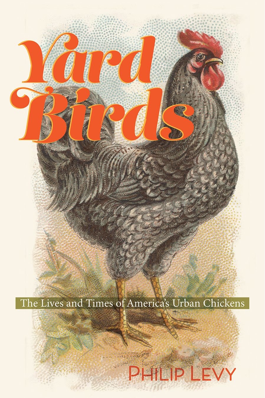Yard Birds The Lives And Times Of Americas Urban Chickens First Philip Levy