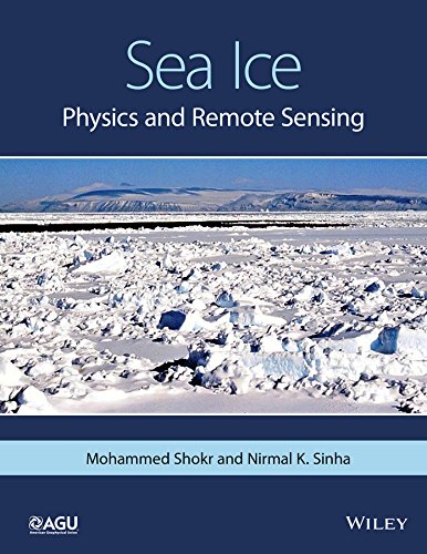 Sea Ice Physics And Remote Sensing 1st Edition Mohammed Shokr