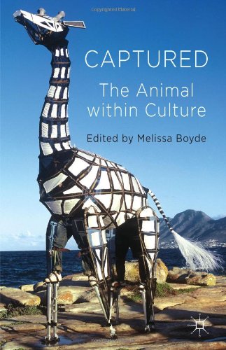 Captured The Animal Within Culture Melissa Boyde