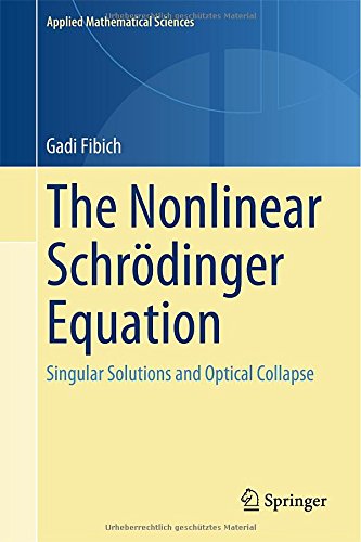 The Nonlinear Schrdinger Equation Singular Solutions And Optical Collapse 1st Edition Gadi Fibich Auth