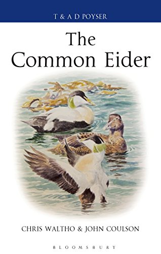 The Common Eider Chris Waltho John Coulson