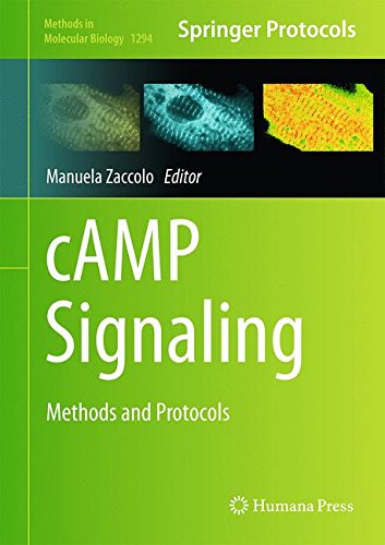Camp Signaling Methods And Protocols 1st Edition Manuela Zaccolo Eds