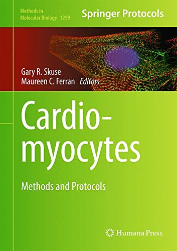 Cardiomyocytes Methods And Protocols 1st Edition Gary R Skuse