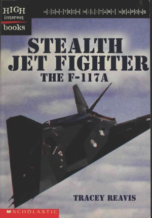 Stealth Jet Fighter The F117a Tracey Reavis