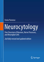 Neurocytology Fine Structure Of Neurons Nerve Processes And Neuroglial Cells 1st Edition Ennio Pannese Auth