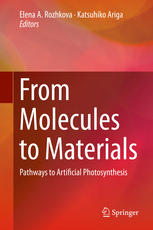 From Molecules To Materials Pathways To Artificial Photosynthesis 1st Edition Elena A Rozhkova
