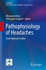 Pathophysiology Of Headaches From Molecule To Man 1st Edition Messoud Ashina