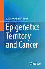 Epigenetics Territory And Cancer 1st Edition Parvin Mehdipour Eds