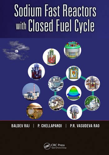 Sodium Fast Reactors With Closed Fuel Cycle Baldev Raj P Chellapandi