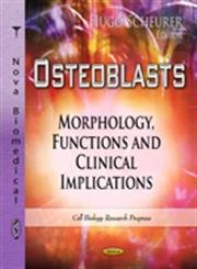 Osteoblasts Morphology Functions And Clinical Implications Hugo Scheurer