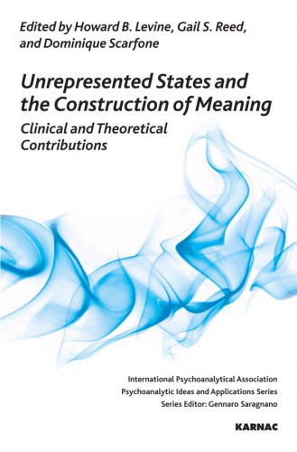 Unrepresented States And The Construction Of Meaning 1st Edition Howard B Levine
