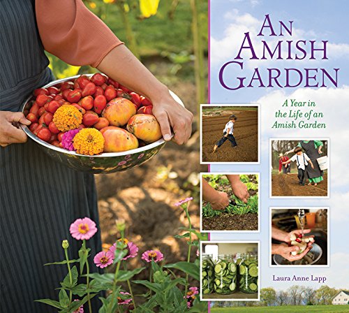 Amish Garden A Year In The Life Of An Amish Garden Laura Lapp