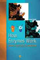 How Enzymes Work From Structure To Function Haruo Suzuki