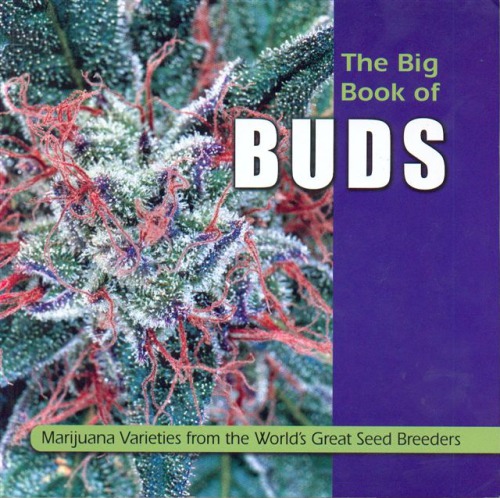 The Big Book Of Buds Marijuana Varieties From The Worlds Great Seed Breeders Ed Rosenthal