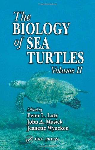 Biology Of Sea Turtles Vol 2 1st Edition Peter L Lutz John A Musick