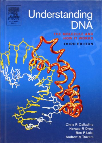 Understanding Dna Third Edition The Molecule And How It Works 3rd Edition Chris R Calladine