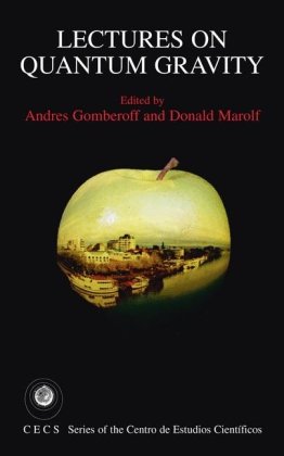 Lectures On Quantum Gravity Andres Gomberoff Donald Marolf