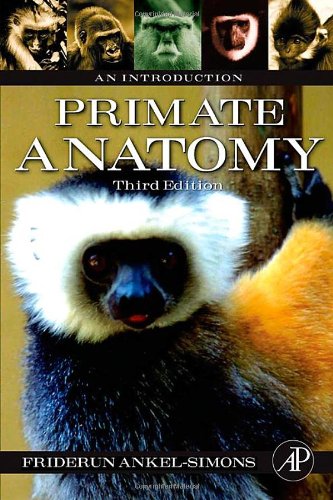 Primate Anatomy Third Edition An Introduction 3rd Edition Friderun Ankelsimons