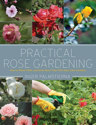 Practical Rose Gardening How To Place Plant And Grow More Than Fifty Easycare Varieties 1st Edition Inger Palmstierna Gun Penhoat