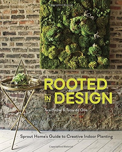 Rooted In Design Sprout Homes Guide To Creative Indoor Planting Tara Heibel