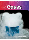 Gases William B Rice