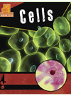 Cells Marina Cohen