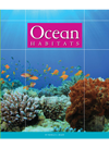 Ocean Habitats Mirella S Miller
