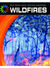 Wildfires Tamra B Orr