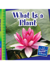 What Is A Plant Jennifer Colby
