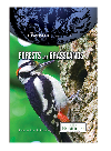 Forests And Grasslands Britannica Educational Publishing John P Rafferty