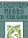 75 Exceptional Herbs For Your Garden Jack Staub