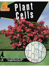Plant Cells Penny Dowdy