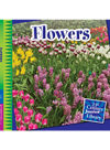 Flowers Jennifer Colby