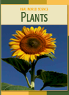 Plants Elizabeth Silverthorne