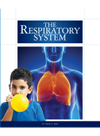 The Respiratory System Susan H Gray