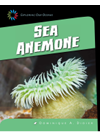 Sea Anemone Dominique A Didier