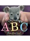 Abc Zooborns Andrew Bleiman Chris Eastland