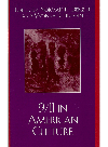 911 In American Culture Yvonna S Lincoln Ed Norman K Denzin Ed