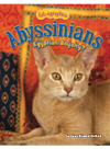 Abyssinians Egyptian Royalty Dawn Bluemel Oldfield