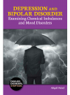 Depression And Bipolar Disorder Examining Chemical Imbalances And Mood Disorders Abigail Meisel