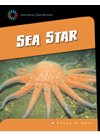 Sea Star Susan H Gray