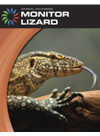 Monitor Lizard Barbara A Somervill