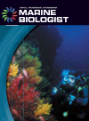 Marine Biologist Barbara A Somervill