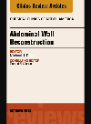 Abdominal Wall Reconstruction An Issue Of Surgical Clinics Michael J Rosen