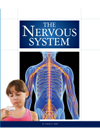 The Nervous System Susan H Gray
