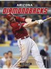 Arizona Diamondbacks Rob Tricchinelli