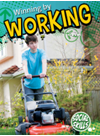 Winning By Working Christie Reed